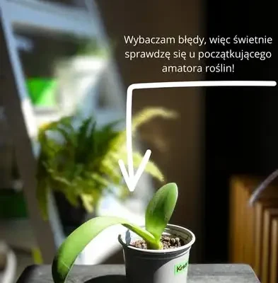 Plantcrossing w zakopiańskiej Mediatece – wymień się roślinami bez zobowiązań