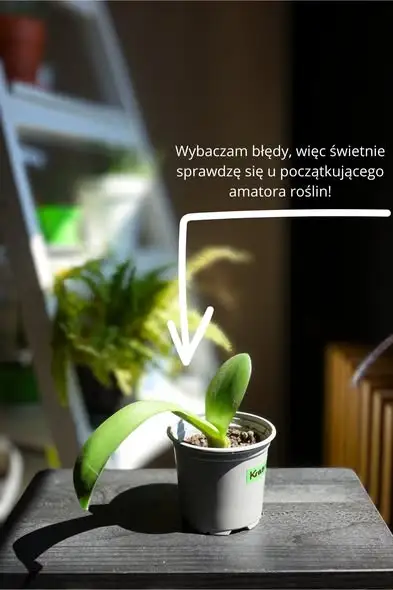Plantcrossing w zakopiańskiej Mediatece – wymień się roślinami bez zobowiązań