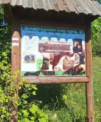 Górska wycieczka do Wielkiej Fatry: 38 osób zdobyło Ploskę