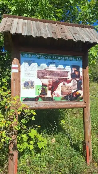 Górska wycieczka do Wielkiej Fatry: 38 osób zdobyło Ploskę