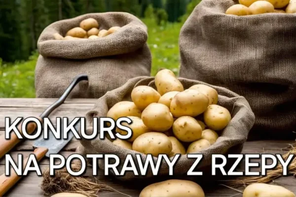 Konkurs na potrawę z rzepy podczas XXII Wykopków w Dzianiszu