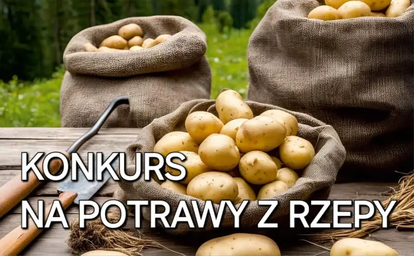 Konkurs na potrawę z rzepy podczas XXII Wykopków w Dzianiszu