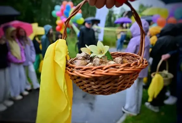 Żonkile nadziei zakwitły w Zakopanem – wystawa i korowód dla hospicjum
